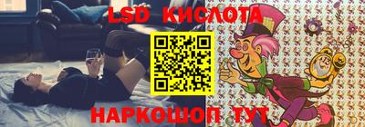 мяу мяу мука Гатчина