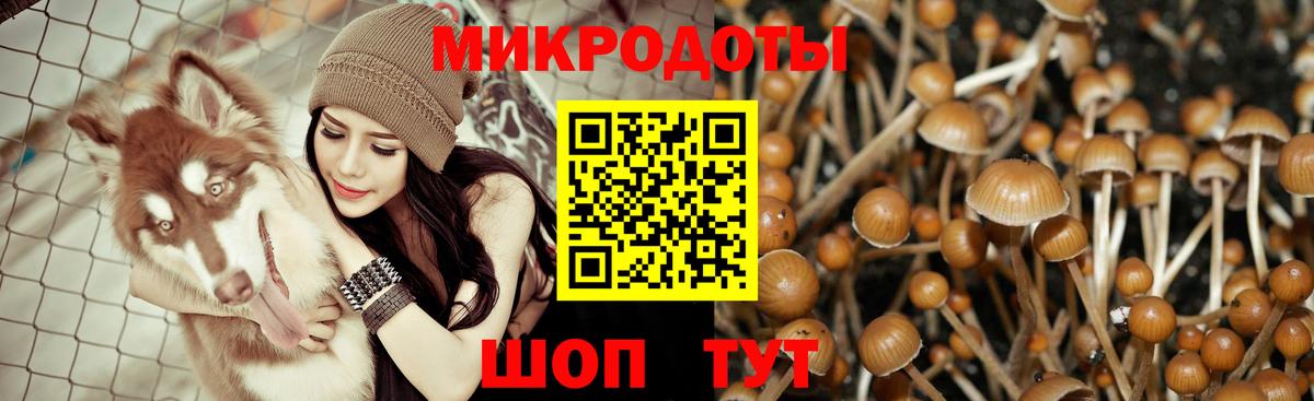 Галлюциногенные грибы мицелий  Вход с VPN  купить  сайты  Мичуринск 
